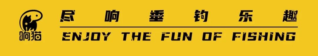 upfile